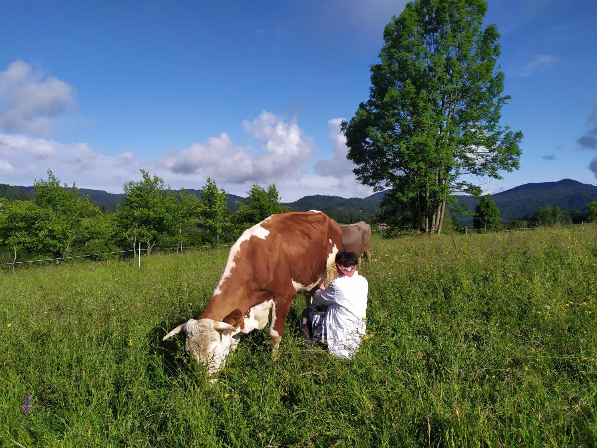 Vila Tourist Farm Strle With Great Local Food Cerknica Exteriér fotografie