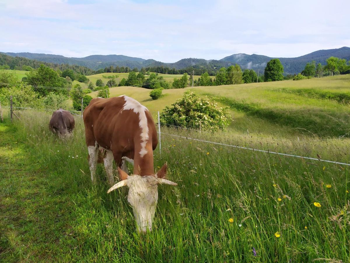 Vila Tourist Farm Strle With Great Local Food Cerknica Exteriér fotografie