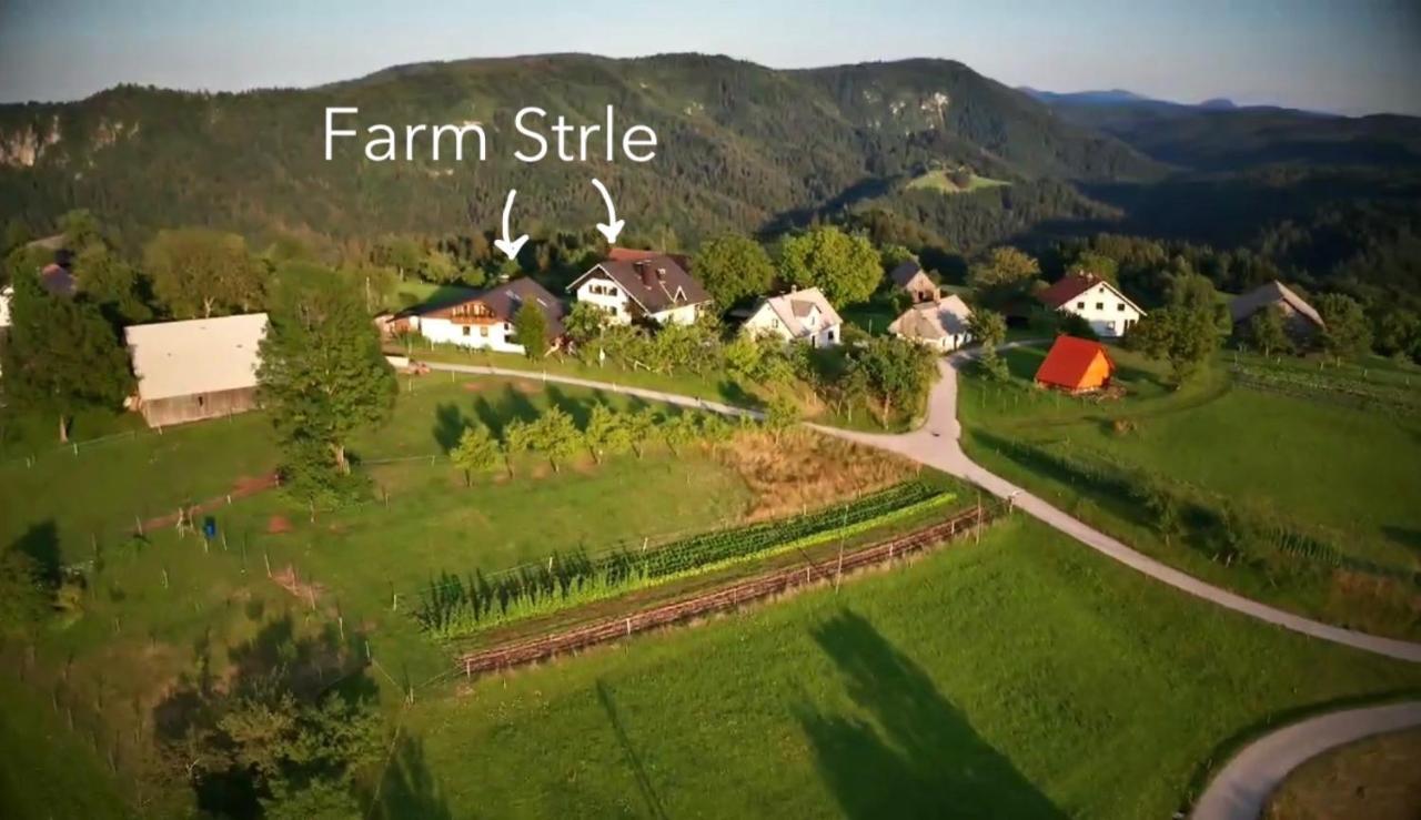 Vila Tourist Farm Strle With Great Local Food Cerknica Exteriér fotografie