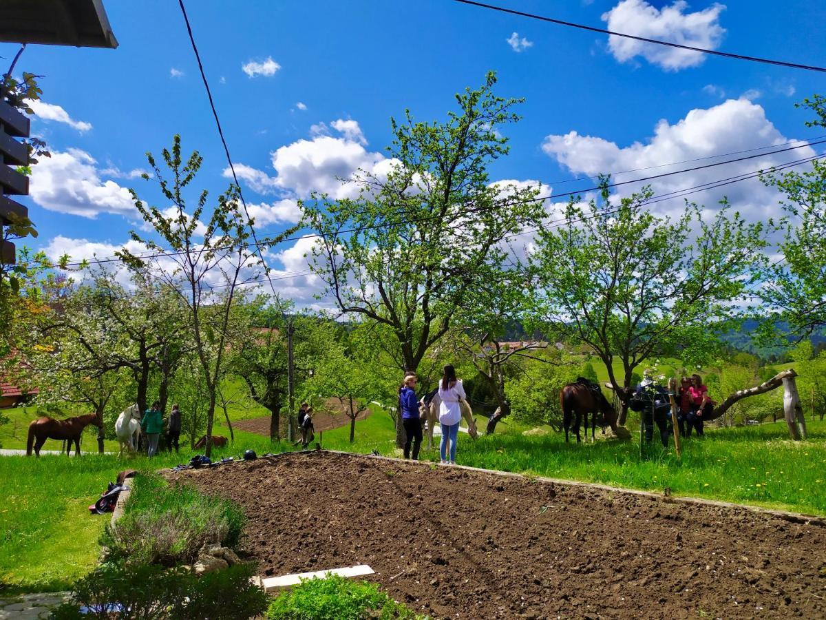 Vila Tourist Farm Strle With Great Local Food Cerknica Exteriér fotografie