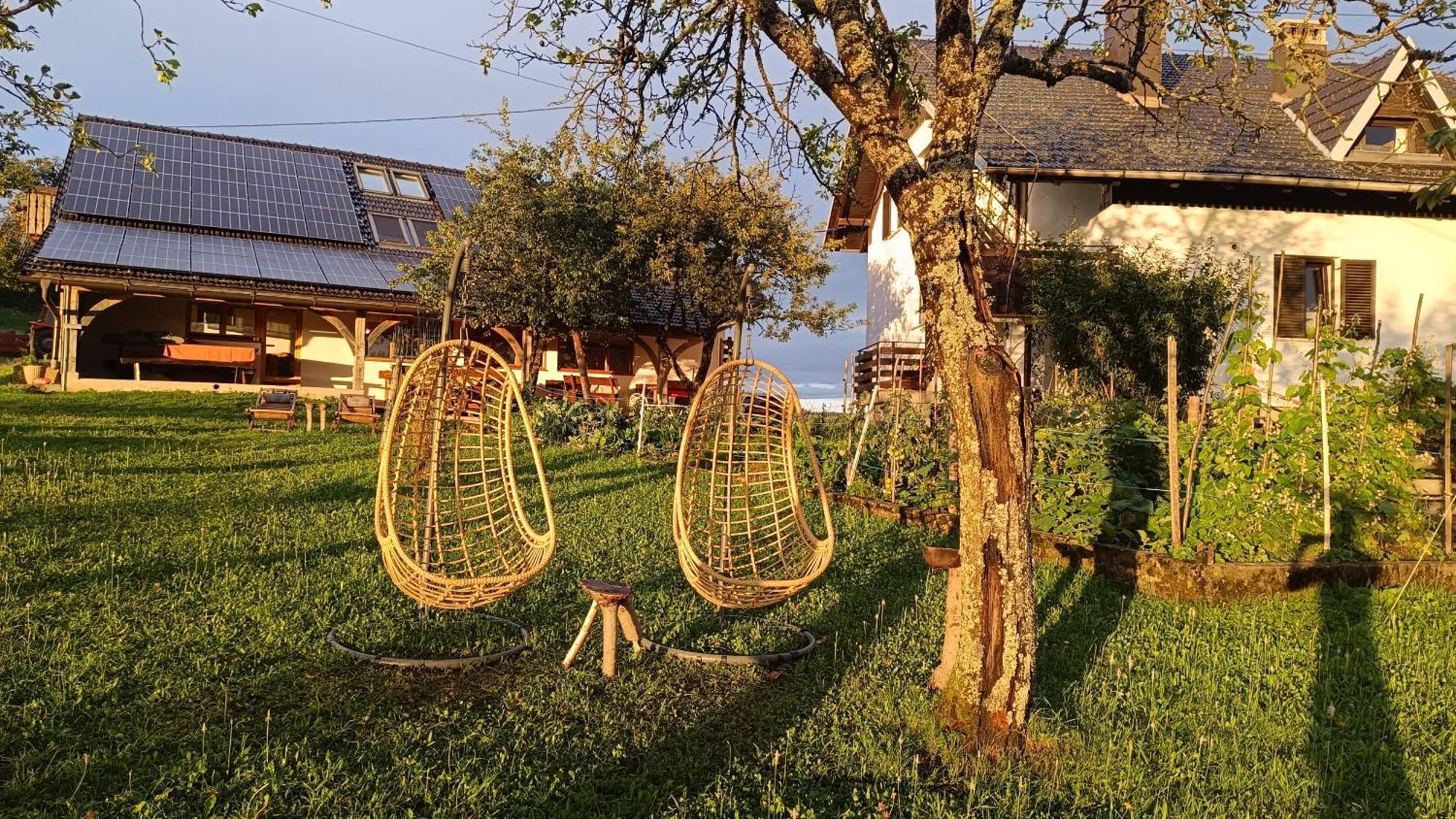 Vila Tourist Farm Strle With Great Local Food Cerknica Exteriér fotografie