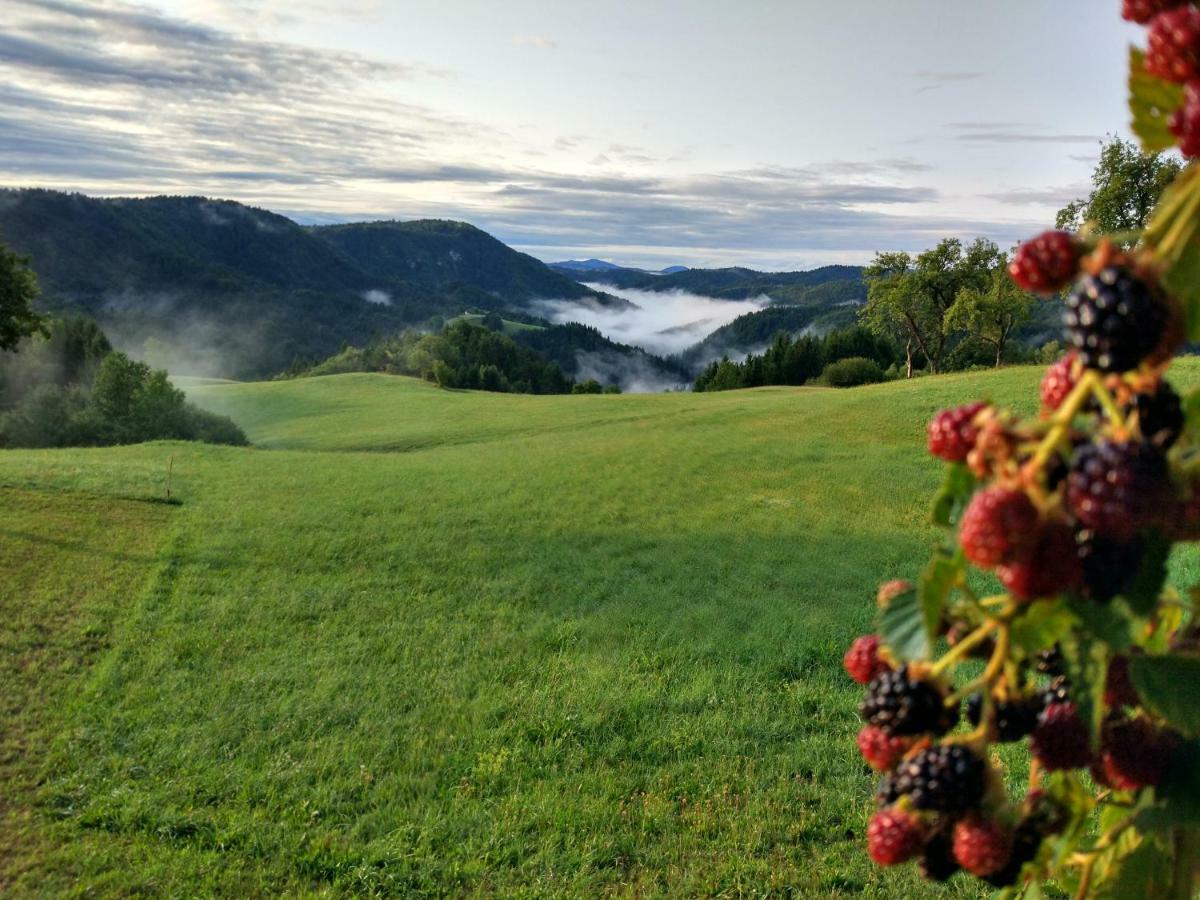 Vila Tourist Farm Strle With Great Local Food Cerknica Exteriér fotografie