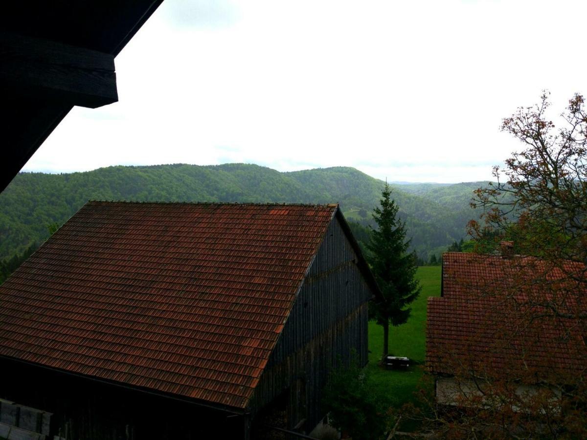 Vila Tourist Farm Strle With Great Local Food Cerknica Exteriér fotografie