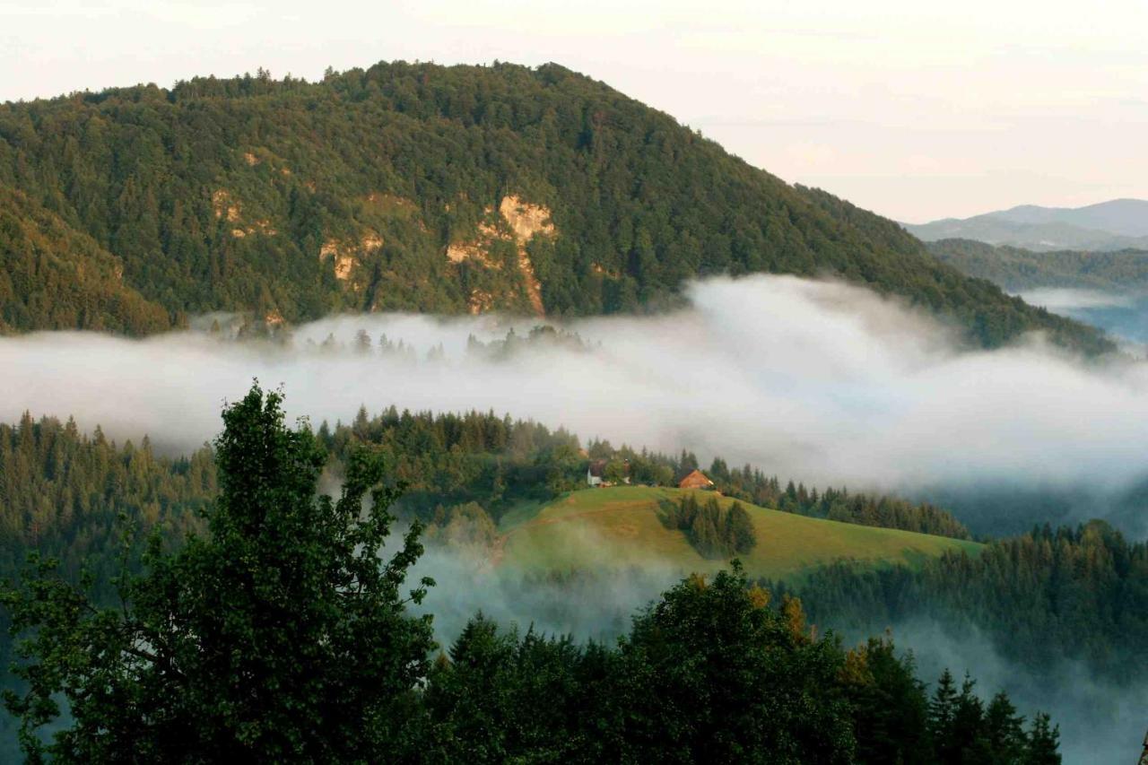Vila Tourist Farm Strle With Great Local Food Cerknica Exteriér fotografie