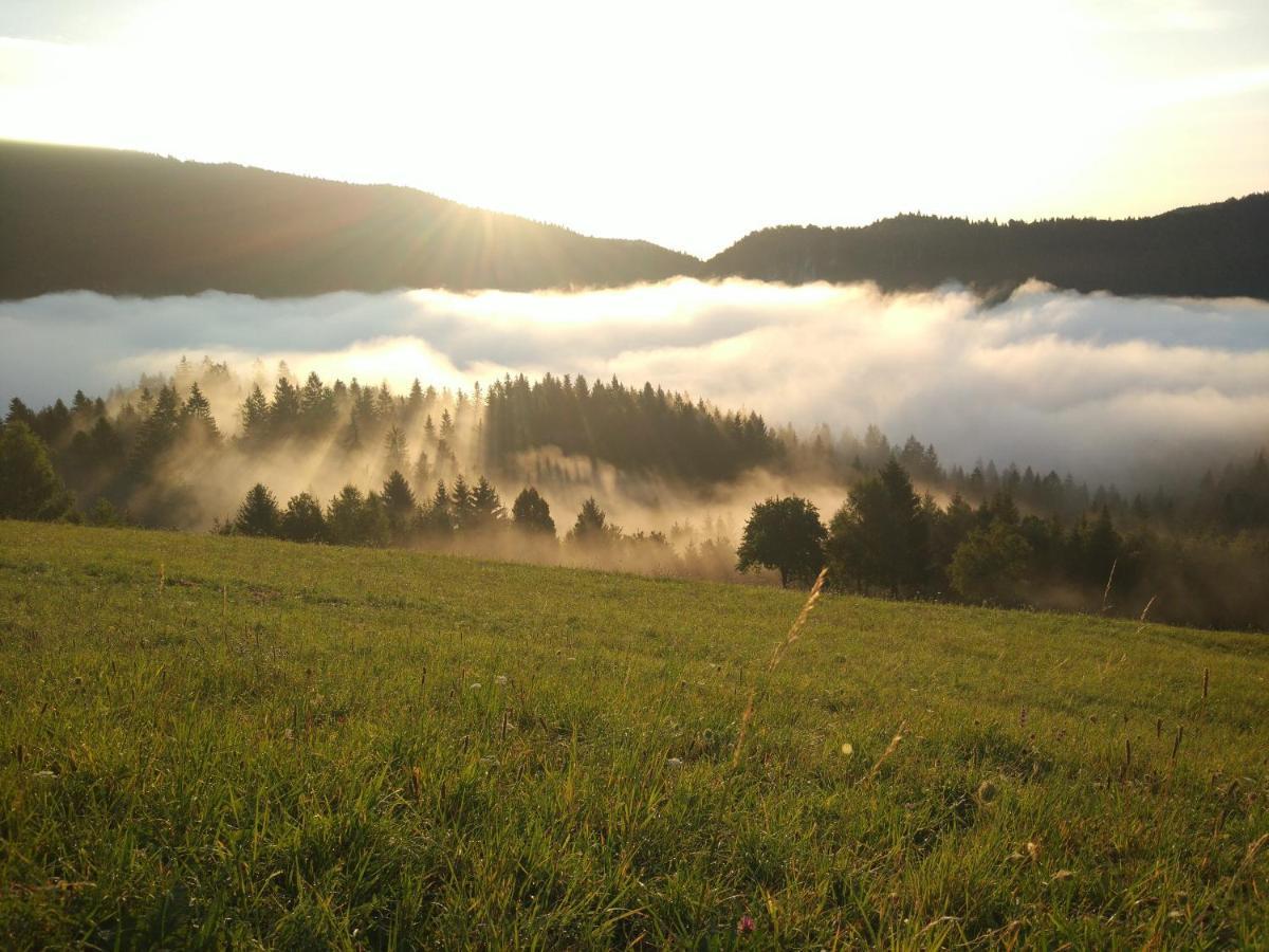Vila Tourist Farm Strle With Great Local Food Cerknica Exteriér fotografie